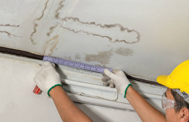 Reliable Burst Pipe Cleanup contractor in Monroe, LA by Water Damage Irwin